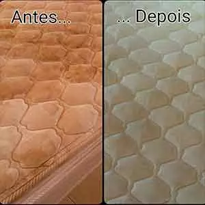 Remoção de Sujeira na Limpeza de telhado em Paulínia