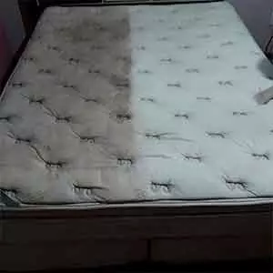 Seu Limpeza de telhado em Paulínia Limpo