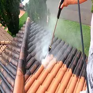 Entragamos Seu Limpeza de telhado em Paulínia em Casa